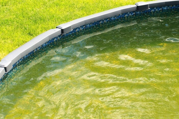 Gefährlich pool wasser grün Poolwasser grün?